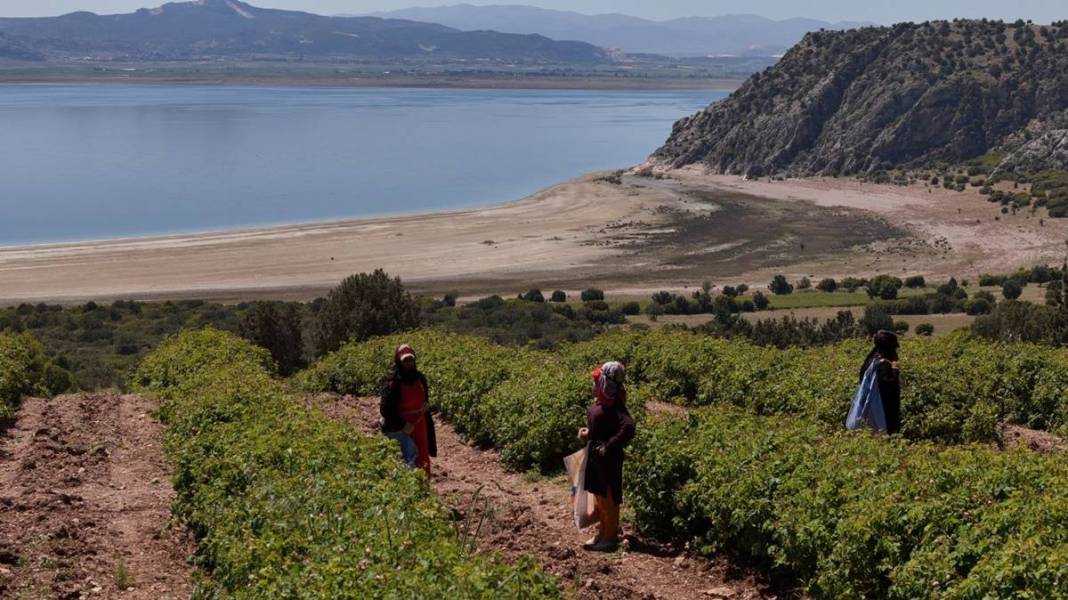 Göl manzaralı, gül kokulu bahçelerde hasat keyfi! Litresini 12 bin euroya satıyorlar 13